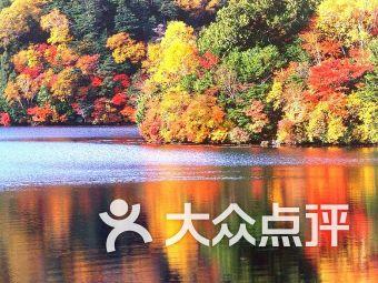 孤岛危机3